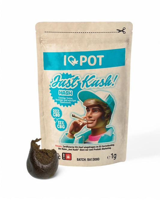 Ilovepot CBD Hash Just Kush 1g